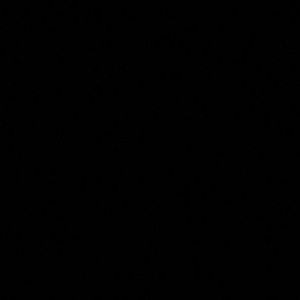 Meet your Posher, Didem